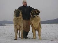 A man and a dog are standing in the snow - Pistonheads