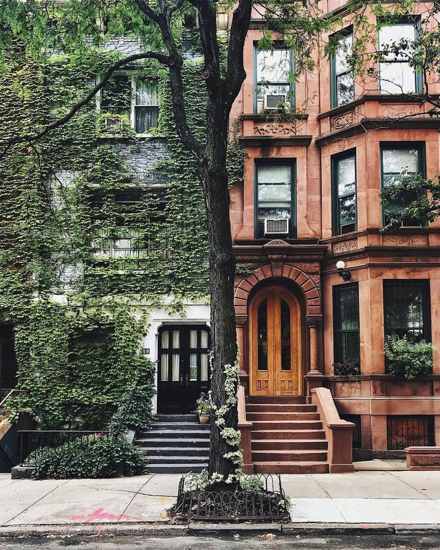 r/MostBeautiful - Juxtaposition in Clinton Hill Historic District, Clinton Hill, Brooklyn, New York City.