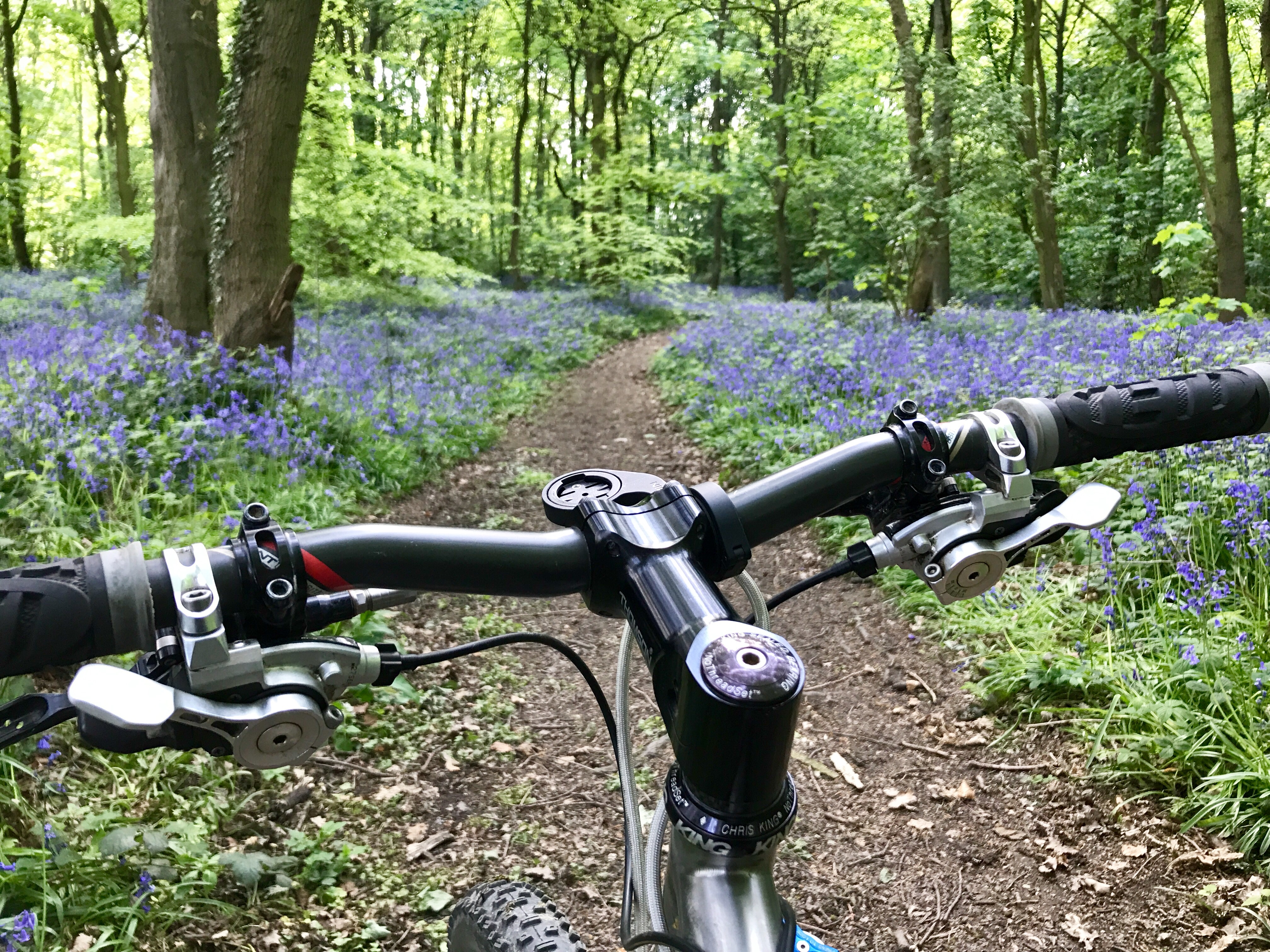 The "Photos From Today's Ride" thread... - Page 291 - Pedal Powered - PistonHeads - The image captures a serene scene of a cyclist on a path in a dense forest. The cyclist has paused in the midst of a carpet of bluebells, their tiny, vibrant flowers creating a natural carpet. Dirt trails meander through the woods, inviting further exploration. The dense forests and the bike in the foreground present a sense of tranquility and adventure while the blue topped with white snow suggests a cold weather. This is a beautiful blend of nature and adventure sports.