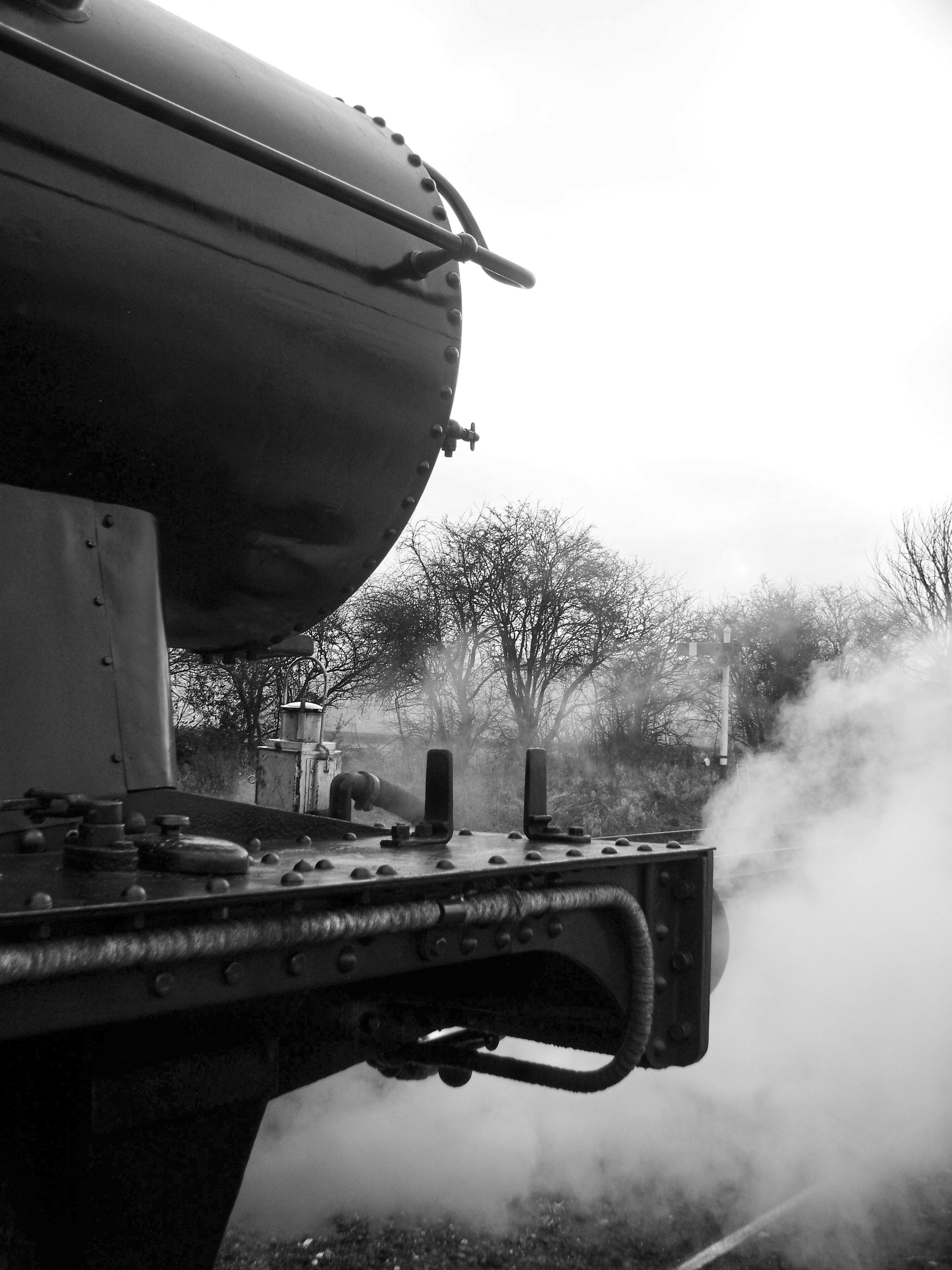 Pistonheads - This is a grayscale photograph of an old-fashioned steam train emitting smoke. The train, which appears to be in motion, occupies the right side of the image. On the left, there are several blurred figures that look like they could be people due to their silhouette; however, without context or clearer features, it's difficult to determine if these are actual individuals. In front of the train, there seems to be a small patch of grass or ground cover. The overall composition suggests an outdoor setting with a sense of motion and activity, captured in a monochrome style.