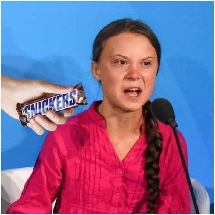 Greta Thunberg is Simpal Cindy? - Page 106 - News, Politics & Economics - PistonHeads