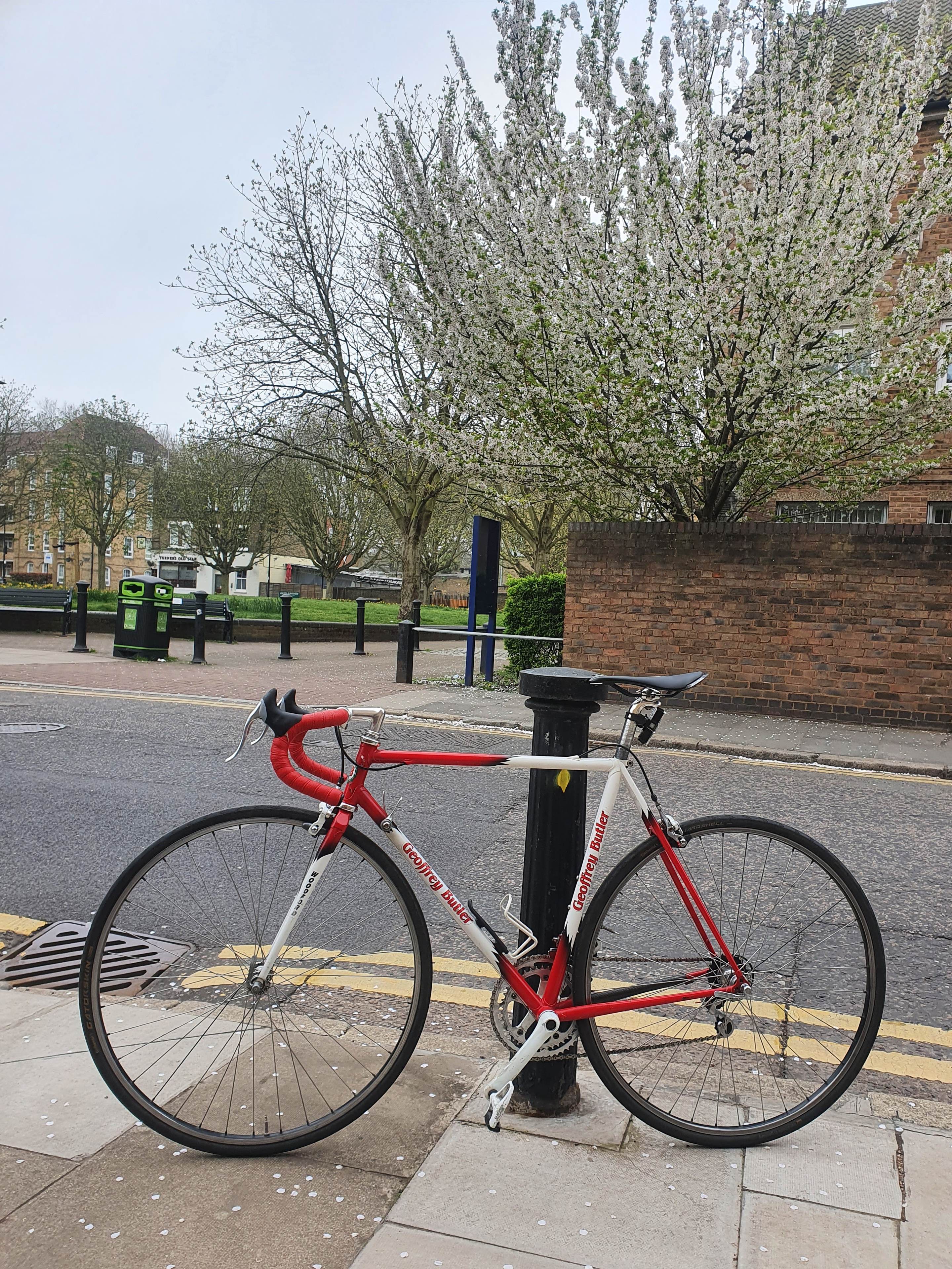 Retro Road Bikes ? - Page 6 - Pedal Powered - PistonHeads UK - The image depicts a red bicycle parked next to a black metal pole on the sidewalk. There's a clear sign of spring with cherry blossom trees lining the street, which are in full bloom. In the background, there is a building and a tree visible. The overall scene suggests an urban setting during the seasonal change from winter to spring.