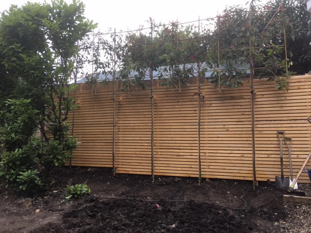 Wooden slats for screening? What stuff and where to buy? - Page 1 - Homes, Gardens and DIY - PistonHeads UK