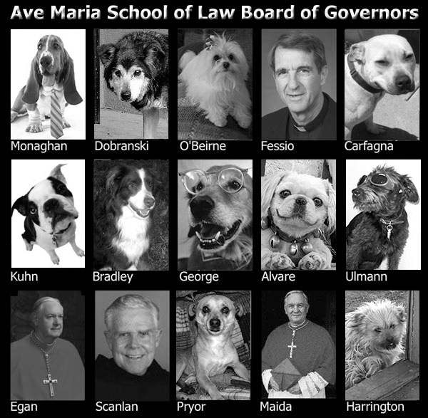 This image features a collage of various individuals, who appear to be the school administers, cropped and arranged into a grid. Each individual is appearing with different pets, which are clearly visible and suggest a connection to a law school, possibly adopting animals or collaborating with animal-related organizations. The black and white color scheme gives the image a classic, formal look.