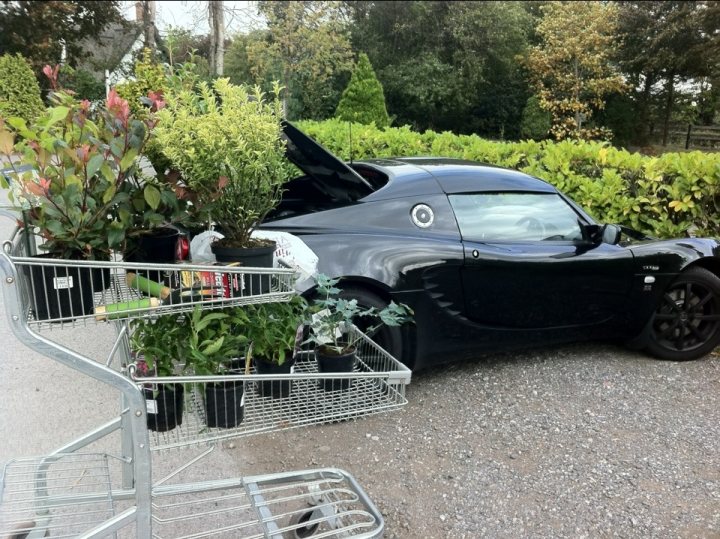 Pics of your bootspace pls - Page 1 - Elise/Exige/Europa/340R - PistonHeads - The image features a black two-seater sports car parked on a gravel driveway next to a cart filled with various plants. The car has a prominent rear spoiler and a low, sleek profile suggests it is a compact sports vehicle. The plants in the cart are of various types and sizes, including a large fern and other smaller plants. The setting is outdoors during the day, as indicated by the natural light and shadows.