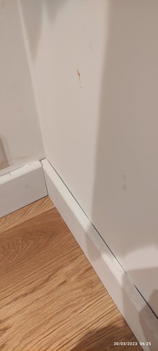 Rate my skirting! - Page 1 - Homes, Gardens and DIY - PistonHeads UK