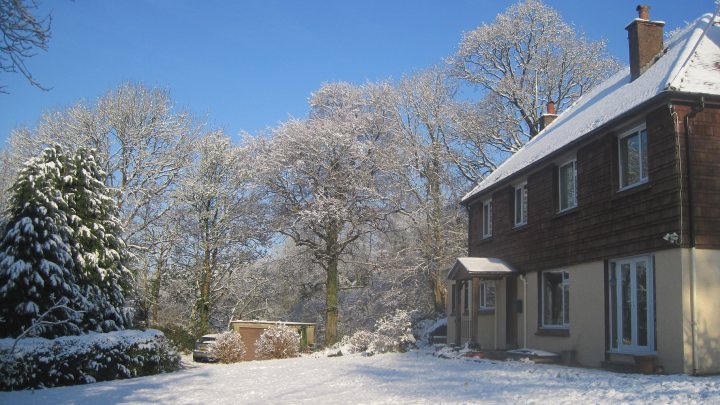 A red fire hydrant sitting in the middle of a forest - Pistonheads - The image depicts a quaint, snow-covered home nestled in a winter wonderland. The house is made of brown brick and features multiple windows. The roof is covered with a layer of fresh snowfall, highlighting the cozy ambiance. A small driveway, also dusted with snow, leads up to the house. The scene is surrounded by trees and bushes, their branches heavy with snow, further accentuating the snowy landscape.