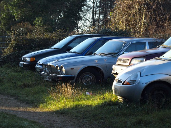 Classics left to die/rotting pics - Page 421 - Classic Cars and Yesterday's Heroes - PistonHeads - The image shows a group of four cars parked in what appears to be a grassy area beside a road or path. The cars include two distinct colors: one blue and one silver, while the other two are dark in color, possibly black or a dark shade of grey. The front end of the submerged car is visible, with the hood pushed up and the doors open, suggesting some form of damage or exposure to water. The sunlight casts a dramatic light onto the vehicles. The cars are parked haphazardly, with no apparent organization or direction.