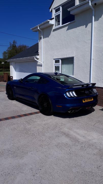 Do l go for manual or auto? - Page 6 - Mustangs - PistonHeads UK