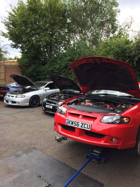 Hold(en) my beer - Monaro, Ute and Commodore content - Page 26 - Readers' Cars - PistonHeads UK