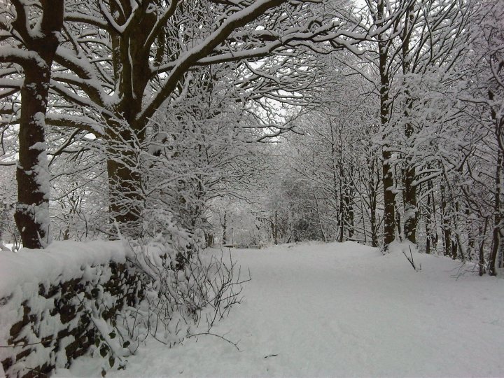 Big England Forecast Snow Pistonheads Event