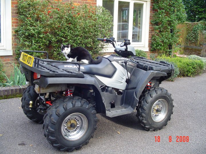 Sportsman Polaris Pistonheads - The image features a black and white cat sitting on top of a white four-wheeler parked on an asphalt surface. The four-wheeler has a matte black mud flap on its rear and the word "POLARIS" is visible on its side. The cat appears relaxed, its ears pointed forward, and it has a striped tail. The setting looks like a residential area, with shrubs and a house in the background, and the scene is taken on a sunny day. In the bottom right corner of the image, there is a timestamp with the date "18 9 2009".