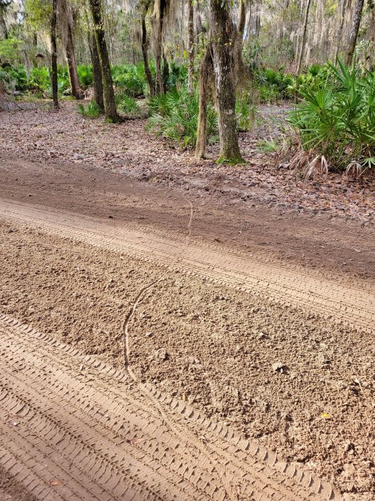 So what have you done with your Aston today? (Vol. 2) - Page 38 - Aston Martin - PistonHeads UK - The image shows a dirt road in a forested area. The road is unpaved and appears to be muddy, indicating recent rain or wet conditions. There are no vehicles visible on the road; it seems quiet and undisturbed except for the natural elements like trees and shrubs. The background is filled with greenery, suggesting that this could be a nature reserve or a park. There are no clear texts or distinctive markings visible in the image.