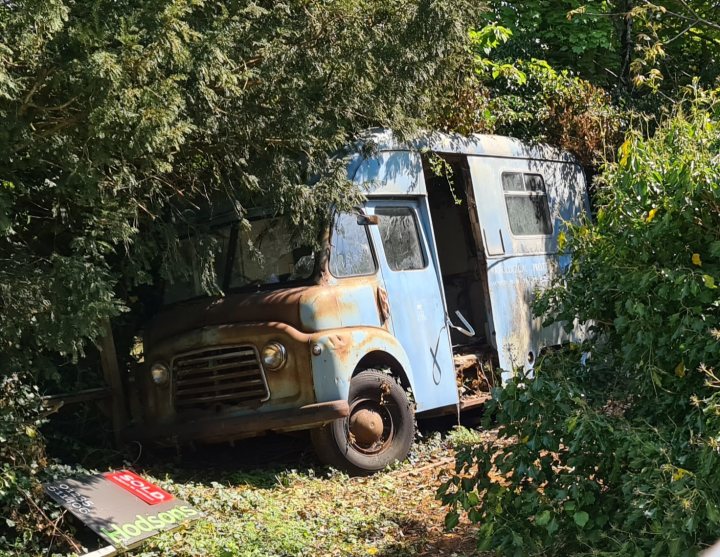 Help with Van identification, 1960s something?  - Page 1 - Classic Cars and Yesterday's Heroes - PistonHeads - The image shows an old, abandoned blue van parked in a lot. The vehicle appears to be in disrepair with visible rust and no functional wheels. A sign is attached to the front of the van, although it's not legible from this angle. The van is situated near some shrubbery and there seems to be some vegetation growing around and on top of the vehicle. The background is a blurred greenery which could suggest an outdoor setting or park-like area.