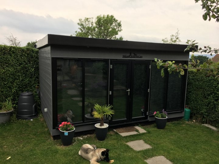 High spec garden building on a budget  - Page 2 - Homes, Gardens and DIY - PistonHeads - The image shows a black and white cat sitting on a table. The cat appears to be indoors, with sunlight streaming in through the windows, creating an atmospheric lighting effect. It's not clear what the background consists of, but the focus is on the cat. There is no text visible in the image, and the style suggests a casual, candid photograph rather than a posed or professional shot.