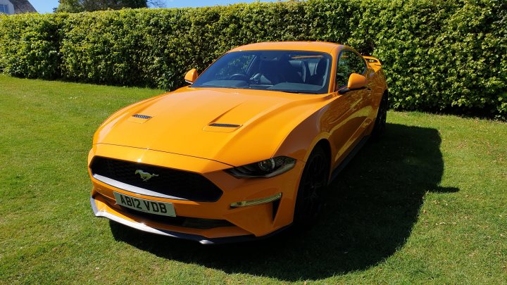 Show us your Mustangs! - Page 13 - Mustangs - PistonHeads UK