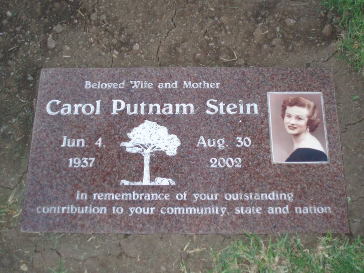 The image shows a rock plaque embedded in the ground. The plaque is dedicated to "CAROL PUTNAM STEIN" with the dates "JUN. 4 1937 - AUG. 30 2002" inscribed above her name. There is a tree silhouette and some text below her name indicating a "Memorial of your outstanding contribution to your community, state and nation." The plaque is engraved in a dark stone with white lettering, and it appears to be outdoors as indicated by the shadows and the grass around it.