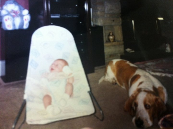 A general doggy question and a Basset question - Page 1 - All Creatures Great & Small - PistonHeads - The image captures a heartwarming scene in a living room where a baby is lying comfortably in a bouncer cradle. The baby appears to be serene, perhaps taking a nap. 

Adjacent to the baby, a beagle is seen lounging on a carpet, adding a touch of warmth and companionship to the scene. The dog seems content, possibly enjoying the company of the baby.

Both the baby and the dog occupy a majority of the image, suggesting they are the main subjects of the photo. Their close proximity to each other and their calm demeanor create a peaceful and homely atmosphere.

In the background, there's a TV screen and some furniture, providing context to the indoor setting. The TV is turned off, implying that the focus of this moment is the bond between the baby and the dog.