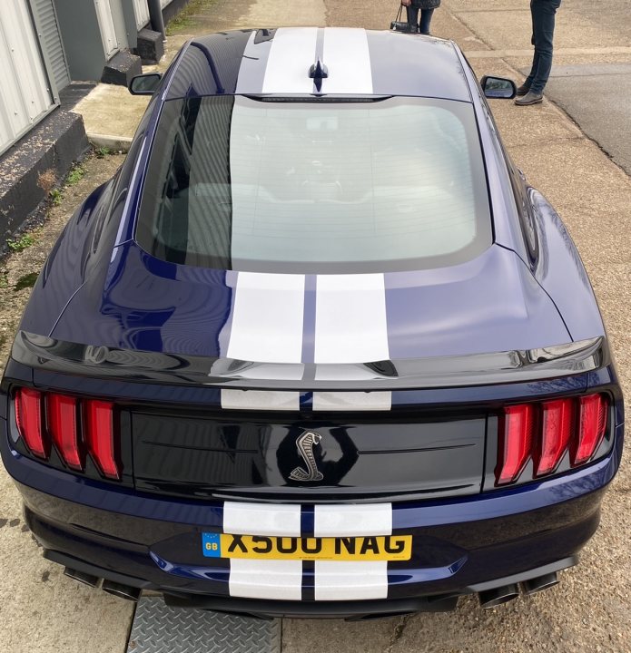 Shelby Mustang GT500 - Page 1 - Mustangs - PistonHeads UK