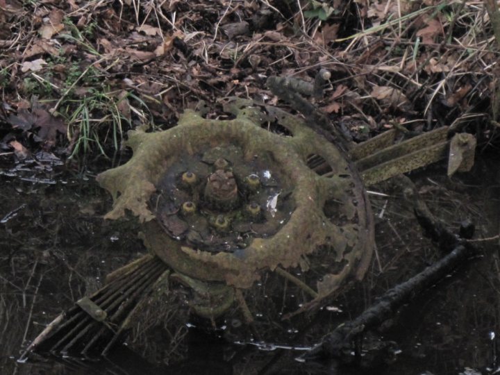 Any ideas what it is? - Page 1 - Classic Cars and Yesterday's Heroes - PistonHeads - The image features an area with water near the bottom left corner, where a piece of brown fabric is highly visible. In the middle of the picture, a rusty metal object including what appears to be a rusty birdcage is also visible. The setting has a natural appearance with leaves and branches in various shades of brown, speckling the scene with a dense background. The most noticeable feature of this image could be the rusted birdcage, which is prominently placed within the frame.