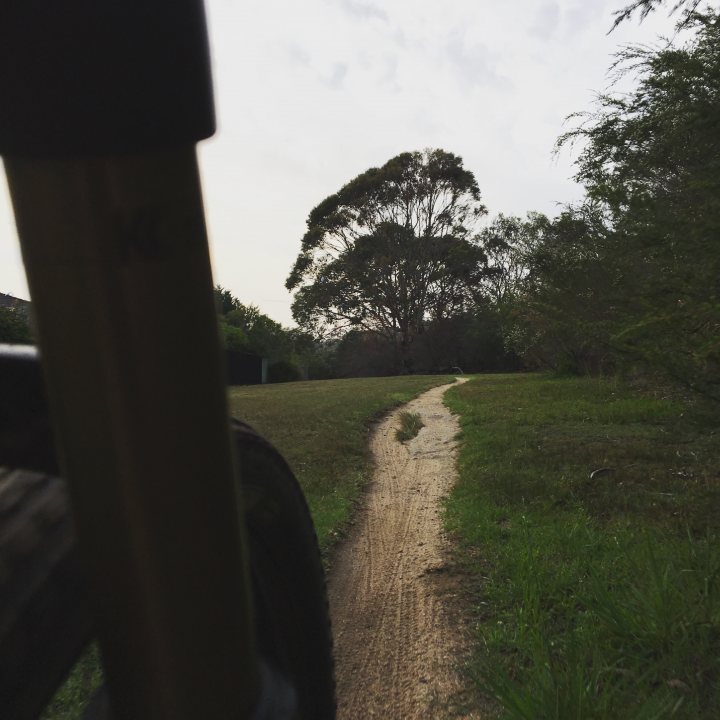 The "Photos From Today's Ride" thread... - Page 325 - Pedal Powered - PistonHeads - The image captures a scene of solitude and peace. A gravel road or path curls through the center, inviting exploration and leading deeper into nature. The road is not paved but appears to be a well-trodden route. The surrounding landscape is dominated by a field of bare, dry grass, suggesting the end of a season or the climate of the region. A cluster of trees, including one with a very dense canopy, stands on the far left side, providing a scenic backdrop to the road. The time of day, possibly late afternoon or early morning, casts a soft light over the scene, adding to the tranquil mood of the image.