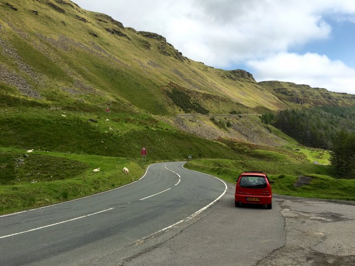 Let's see your Abarths! - Page 5 - Alfa Romeo, Fiat & Lancia - PistonHeads - The image captures a serene mountainous road with a curved, white-lined pavement. A red car is driving along the winding road, moving from the left towards the right side of the image. The surrounding landscape is filled with lush green hills and rocky terrain, alongside a solitary sheep grazing in the distance. The road appears to be empty, with the car being the sole moving vehicle in the scene.