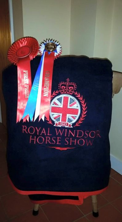 The Perfect Day Yesterday............. - Page 1 - All Creatures Great & Small - PistonHeads - The image presents a display of accolades and memorabilia from the Royal Windsor Horse Show, a prestigious event in equestrianism. In the foreground, a navy blue blanket with the event's logo and name embroidered on it is the focal point. Behind it, two award ribbons from the same event, showing the logos and titles, are arranged diagonally. Above this, a red and blue ribbon stands out, presumably honoring a victory at the Royal Windsor Horse Show. The text "Royal Windsor Horse Show" is visible, asserting the authenticity and significance of the items showcased.