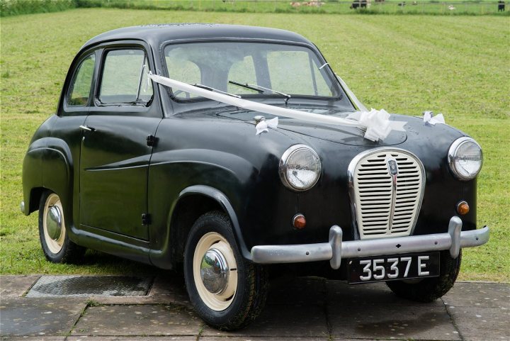 1958 Austin A35 - the family heirloom... - Page 1 - Readers' Cars - PistonHeads UK - The image features a vintage car, which appears to be an antique model. It is parked on what seems to be a lawn or grassy area. The car has a distinct black color with chrome accents, suggesting it might be from the early 20th century. A white ribbon is draped over the top of the car, possibly indicating that the vehicle is part of a special event or ceremony. In the background, there's a glimpse of a building and trees, adding to the outdoor setting. The image has a watermark visible on it, which indicates it might be from a photography service or stock photo collection.