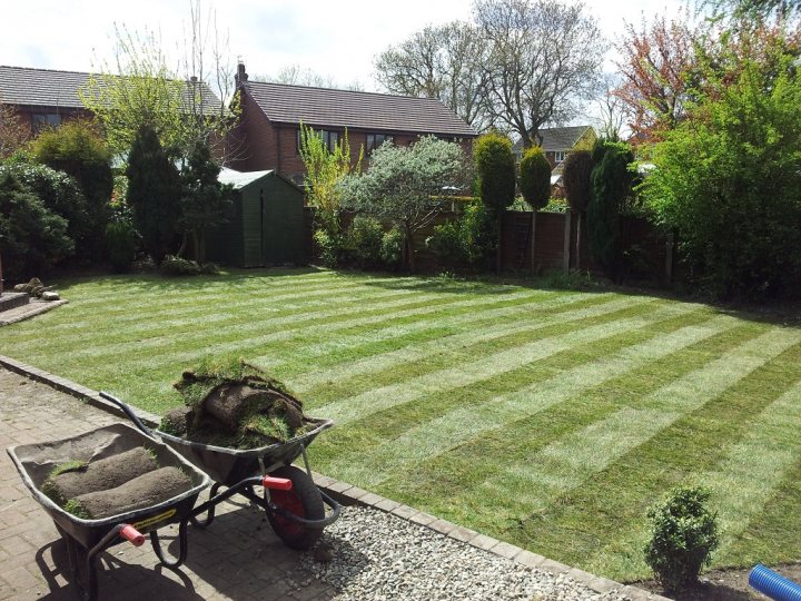 As per the current trend for lawn threads - Page 1 - Homes, Gardens and DIY - PistonHeads - The image captures a tranquil garden viewed from a patio. A wheelbarrow is parked on the left side of the frame, with its wheel turned slightly. The garden is meticulously cared for, with neatly mowed lawn dividing it into geometric patterns. In front of the greenery stands a fence, adding a layer of privacy to the space. Finally, on the far right, a flower pot can be seen, possibly holding a plant to further enhance the garden's aesthetic appeal.