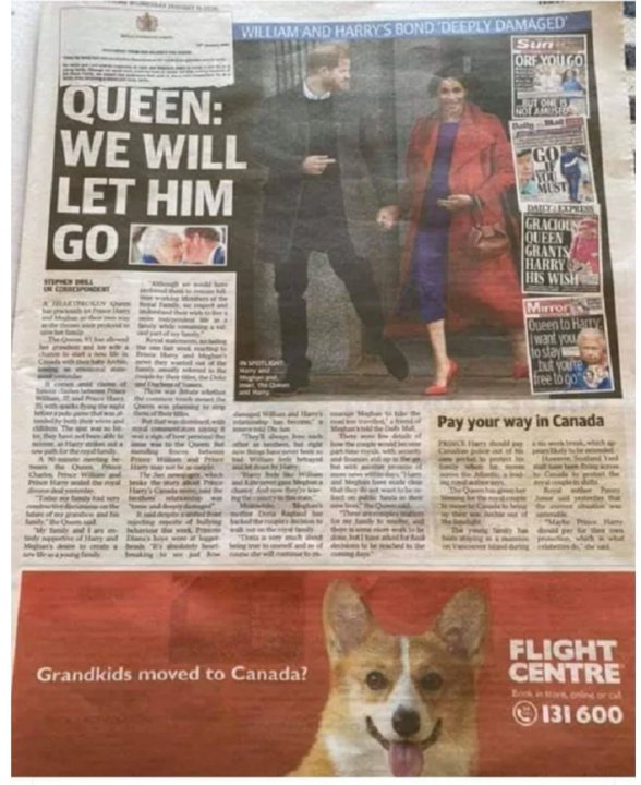 Harry and Meghan - Page 157 - News, Politics & Economics - PistonHeads - The image shows a newspaper with an article titled "Queen we will let him go". This suggests that the royal family is facing some kind of crisis or controversy. There is also a photo of Prince William and Princess Kate on the front page, indicating their involvement in the story. The presence of a dog in the image may not be directly related to the news content but could potentially be an advertisement or decoration. The bottom right corner features a "Flight Centre" ad with a dog image, suggesting that this newspaper might have regional distribution or is from Australia.