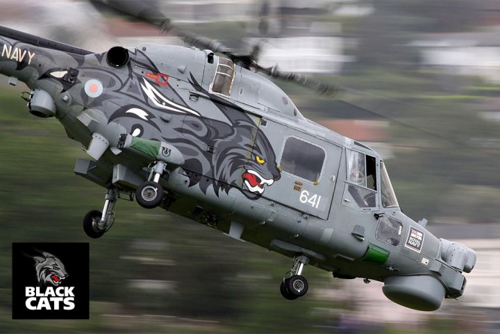 A small airplane sitting on top of a runway - Pistonheads - This image captures a striking gray helicopter with a vibrant depiction of a black tiger on its side, soaring through a blurred backdrop of a residential area. The helicopter is converted with the addition of a roof, indicative of its potential use as a Black Cats rooftop. The tiger on the helicopter's side is not merely a decorative feature but also a symbol, sort of like the Navy SEAL unit's tiger logo. The aircraft appears to be in motion and is traveling low to the ground, suggesting dynamic movement. The image is likely a promotional or marketing photo for Black Cats, given the company's logo visible in the bottom right corner.