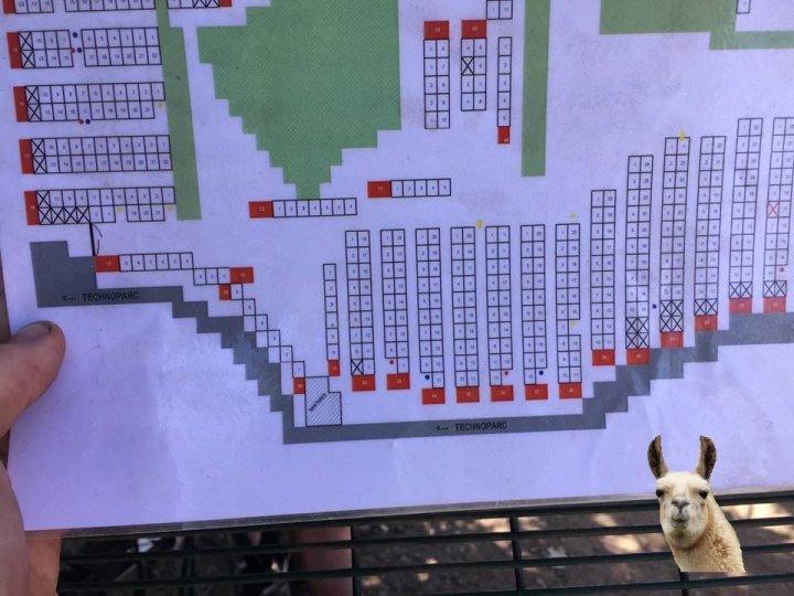 Houx Camping Map - Page 2 - Le Mans - PistonHeads - The image features a black and white layout map, possibly representing a seating arrangement or a plan for a layout such as a school auditorium or a large assembly hall. The map is detailed, with shaded areas indicating null or empty spaces. On the right side of the image, a person's hand is visible, suggesting that they may have been holding the map or that the photo has a minor cropping error. Also superimposed on the image is the head of a llama, creating a playful or humorous contrast with the otherwise serious and technical nature of the paperwork in the photo. This juxtaposition likely makes the image appear amusing and incongruous.