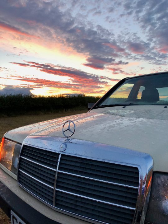 Spartan Mercedes 190 (w201) - Page 16 - Readers' Cars - PistonHeads