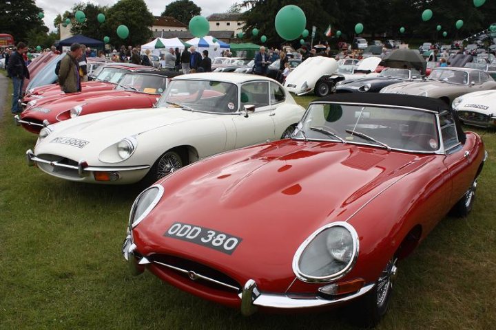 Anyone going to the Raby Castle car show 19th June? - Page 1 - North East - PistonHeads - The image showcases a gathering of vintage automobiles parked on a green lawn. The vehicles, which are primarily red and white, are on display, suggesting this could be a car show. The cars are arranged in a way that these triad central cars are prominently positioned and in the center of the frame, with other cars surrounding them. Additionally, there's a small group of people milling about in the background, further emphasizing the event-like atmosphere of the scene.