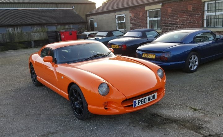 The best colour for a Cerbera - Page 6 - Cerbera - PistonHeads