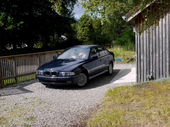 My BMW E39 530d manual & the man on a galloping horse. - Page 1 - Readers' Cars - PistonHeads - In the image, a sleek dark blue BMW car is parked on a gravel driveway. The car is positioned on top of a gravel lot under a tree. The tree casts a soft shadow over the gravel area, creating a serene atmosphere. The BMW car's design and polish are clearly visible, suggesting that it's in pristine condition. The surrounding area appears to be a blend of a natural setting with the gravel driveway. Overall, the image presents a tranquil scene of a car parked on a pebbly driveway under the shade of a tree.