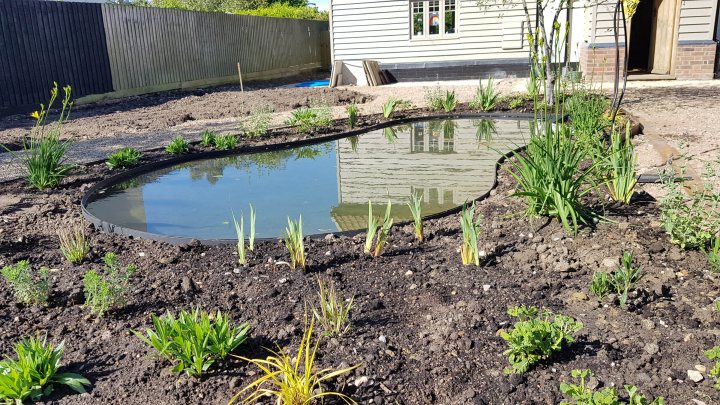 Show your Ponds - Page 4 - Homes, Gardens and DIY - PistonHeads