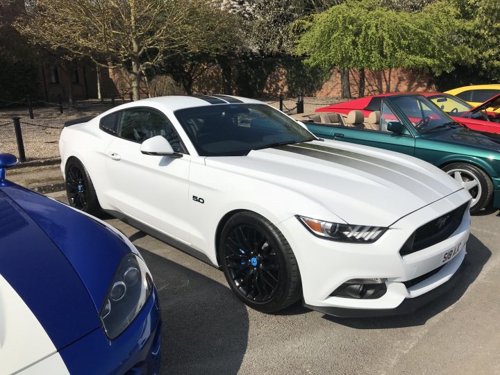 Show us your Mustangs! - Page 4 - Mustangs - PistonHeads