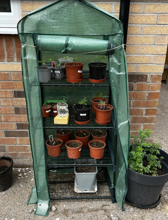 The Greenhouse Thread - Page 20 - Homes, Gardens and DIY - PistonHeads UK