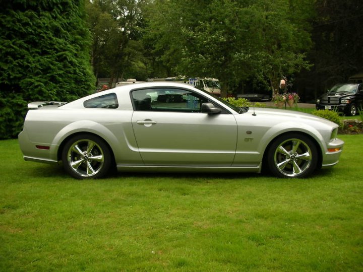 Our Cars - Page 61 - Scotland - PistonHeads - The image shows a silver Ford Mustang parked on a grassy lawn in a park. The car is facing towards the right side of the frame. The vehicle's design is visible with the iconic Mustang grille and the angular headlights that are a characteristic feature of this model. The car's registration tag is visible, indicating that it is in an area where front plates are required. The setting is outdoors, with lush green grass surrounding the car and providing a natural, relaxed ambiance. There are trees and shrubs in the background, further enhancing the natural and serene scene.