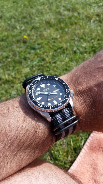 Seiko Divers SKX007 0r 009; help me decide - Page 4 - Watches - PistonHeads