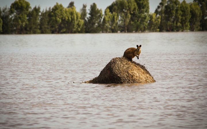 Pistonheads River Park Floods Australian