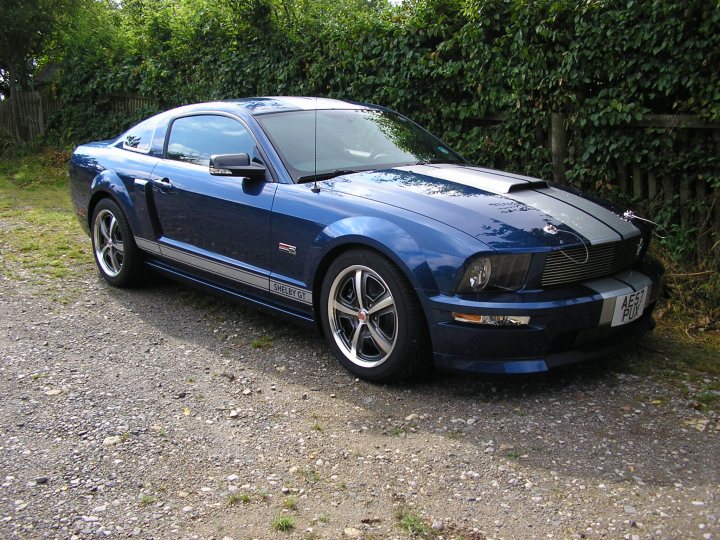 My Mustang GT, now supercharged! - Page 1 - Mustangs - PistonHeads - The image features a blue Ford Mustang parked on a gravel driveway. The car has a black stripe design on the hood and running along the side. Its wheels and grill match the black color of the stripe. The car's glossy exterior reflects the surrounding environment and shows slight reflections from a nearby surface. The vehicle's license plate is visible, containing the number 'ALEC'. The setting appears to be a quiet, residential area, near a hedge which is part of a fence or boundary marking off a property.