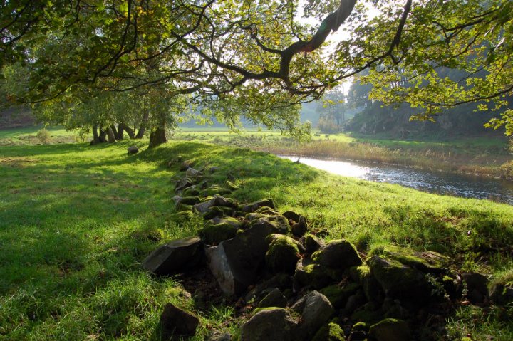 Random photos - Page 426 - Photography & Video - PistonHeads - The image captures a serene outdoor scene. A grassy field, lush and verdant, stretches out, its surface undulating and carpeted. A babbling brook meanders its way through the field, its waters gently flowing over rocks and stones, creating the tranquil sound of nature. Shadows from the surrounding trees cast patterned light and dark across the grass, adding depth and contrast. The entire scene is bathed in a soft light, suggesting either early morning or late afternoon sun. The perspective of the photo seems to be from a distance, placing the viewer amidst the natural beauty, inviting them to step into this peaceful setting.