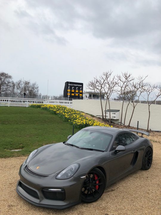 12 GT4's for sale on PistonHeads and growing - Page 380 - Boxster/Cayman - PistonHeads