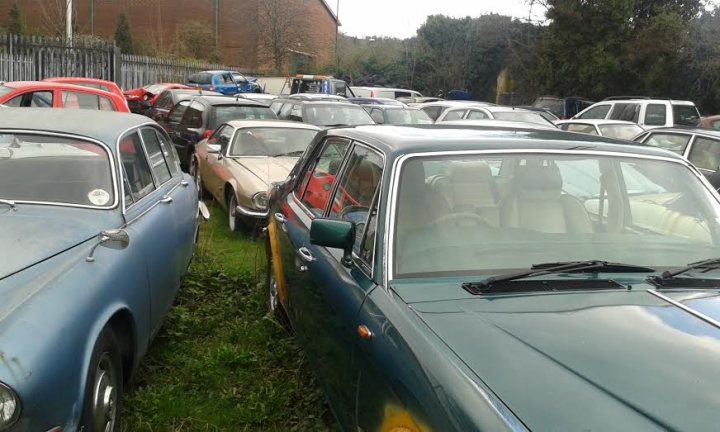 Classics left to die/rotting pics - Page 442 - Classic Cars and Yesterday's Heroes - PistonHeads