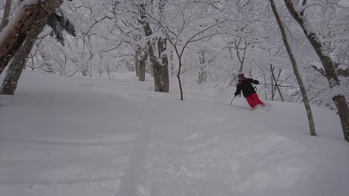 Japan Snowboarding Trip Report - pic heavy - Page 1 - Holidays & Travel - PistonHeads