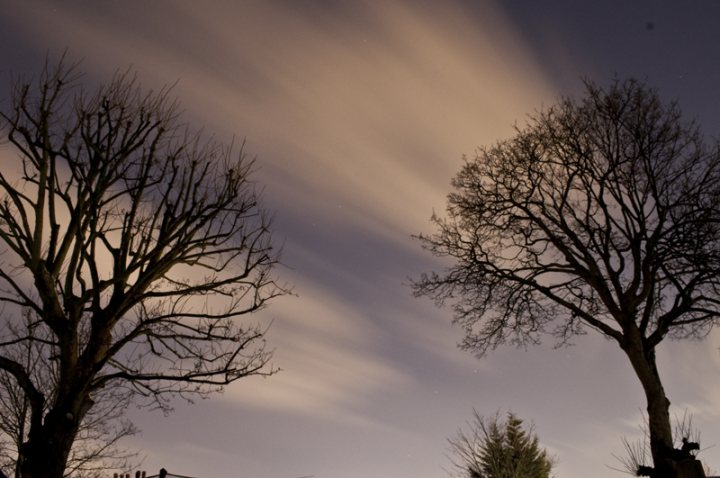 Dslr Pistonheads Cleaning Newbie - The image captures a tranquil late-night scene with two tall, bare winter trees standing side by side against a fluffy sky. The trees are ghostly silhouettes against the deep blue twilight sky dotted with stars. The sky is lit up with a warm, orange glow, possibly from a nearby streetlamp, that contrasts with the dark sky. This creates a silhouette effect on the trees, emphasizing their shapes and outlines. Below, there's the suggestion of a yard or a hedge, hinting at a garden or a park.