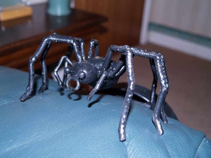Pistonheads Dog Spider