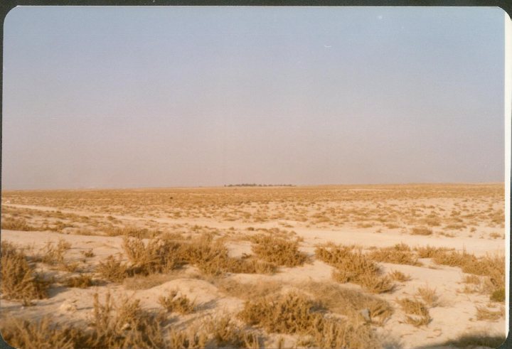 Pistonheads Day Years Dubai Enjoy - The image portrays a vast plain under a clear sky. The landscape is semi-arid, with patches of light and dark vegetation scattered throughout the field. In the distance, there's a line of trees or bushes blending with the horizon. The lighting suggests either dawn or dusk, given that the sky displays soft, diffused hues that are typical for either time of the day. The overall scene evokes a sense of solitude and tranquility.